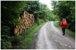 Der Weg fhrt zum Gipfel der Hohen Brach