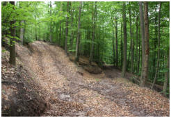 Die Waldwege sind etwas aufgeweicht aber gut begehbar