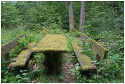 Die Natur hat schon Platz genommen