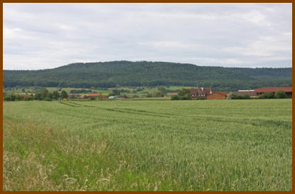 Blick auf den Steigerwald