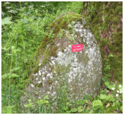 Gipfelstein auf dem Scheinberg