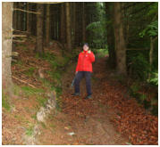 Auf schnen Waldwegen geht es bergan