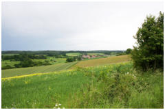 Fernblick auf Friedrichshausen