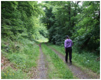 Auf schnen Wegen lt es sich gur wandern