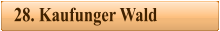 28. Kaufunger Wald